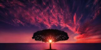 Czym zasłonić słońce na balkonie?