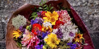 Co na ścianę w przedpokoju żeby się nie brudziła?