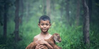 Czy można w kozie palić węglem?