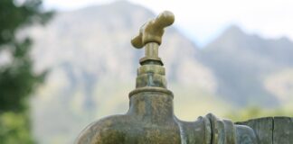 Jak nawadniać donice?