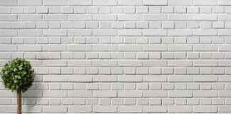 Ile wody do doniczki?