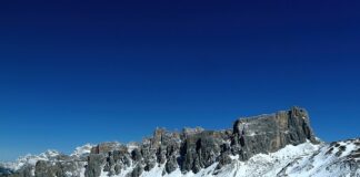 Jak zrobić nawóz z fusów kawy?