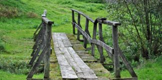 Jak długo goi się mostek?