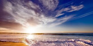 Czy pianka do golenia wyczyści dywan?