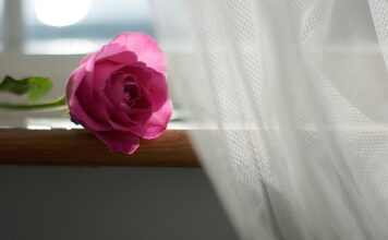 Na co się wiesza firanki? Na co się wiesza firanki?