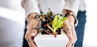 Jaki garnek do duszenia mięsa?