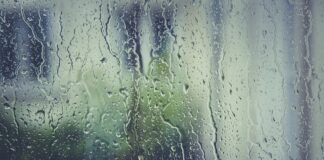 Co na szybę żeby nie było widać z zewnątrz?