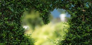 Jak dobrze oświetlić ogród?