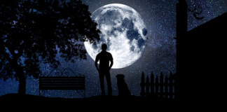 Jakich obrazów nie wieszać w domu?