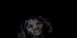 Dlaczego zrezygnowałam z hybrydy?