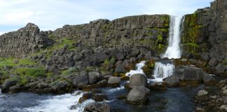 Czy dzwonek to rzeczownik?