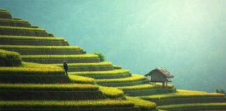 Jak oświetlić taras bez prądu?