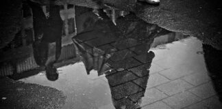 Co daje grunt do drewna?