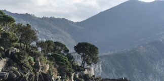 Ile kosztuje litr miodu 2023?