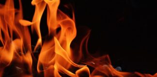 Czy można palić w piecu mokrym drewnem?