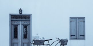 Jak przycinać dzwonki?