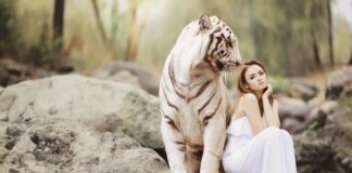 Czy dzwonki są pod ochroną?