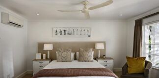 Czy skrzydłokwiat nadaje się do sypialni?