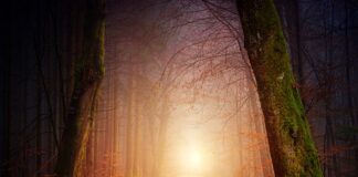 Jak zaprojektować oświetlenie zewnętrzne?