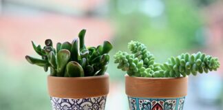 Jakich garnków nie używać?