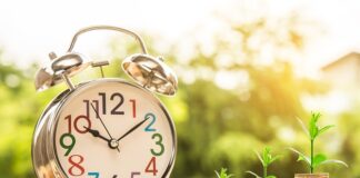 Co to jest sterowanie zarządzanie?