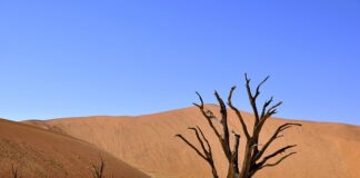 Co daje ceramika w piecu?