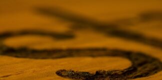 Co lepsze bejca czy farbą?