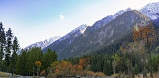 Jak zaprojektować etykietę?