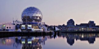 Jak rozpoznać fałszywy miód domowym sposobem?