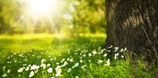 Jakie światło na zewnątrz ciepłe czy zimne?