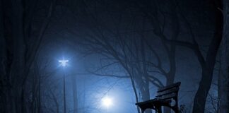 Czy polskie uprawnienia elektryczne w Niemczech?