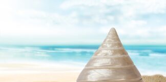 Jak zdjąć obudowę dzwonka?