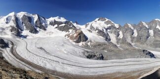 Co oznacza skrót PZ we Wkrętakach?