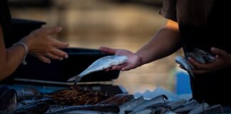 Co trzeba zrobić żeby sprzedawać miód?