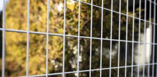 Czym przysłonić ogrodzenie panelowe i mieć większą prywatność